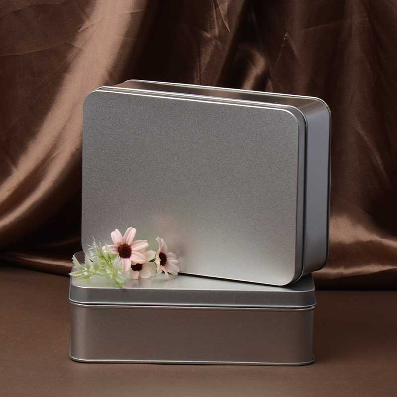 Frostet Metal Storage Box Bird \\\\ \'s Nest Gift Packaging Tin Box 220 * 160 * 65mm
